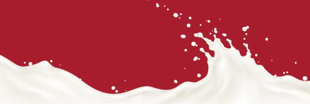 Dairy Products
