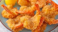Shrimp